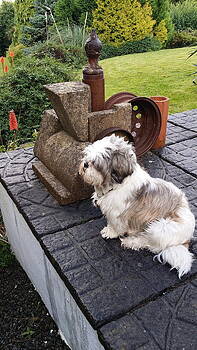 Val Byrne - MyLO the ART COLLECTOR Val Byrne - MyLO the ART COLLECTOR