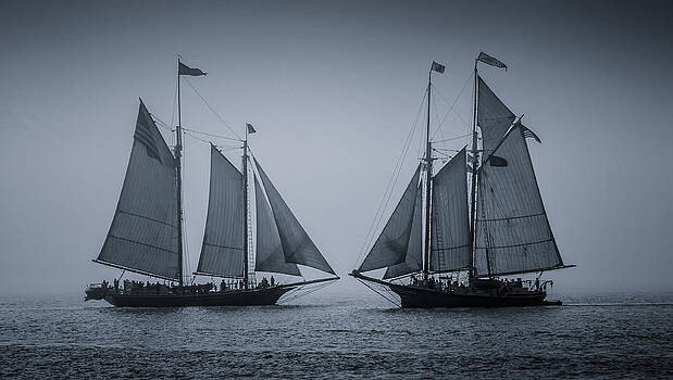 Fred LeBlanc - Oldest Schooners Fred LeBlanc - Oldest Schooners