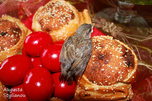Augusta Stylianou - Sparrow on Red Eggs Augusta Stylianou - Sparrow on Red Eggs