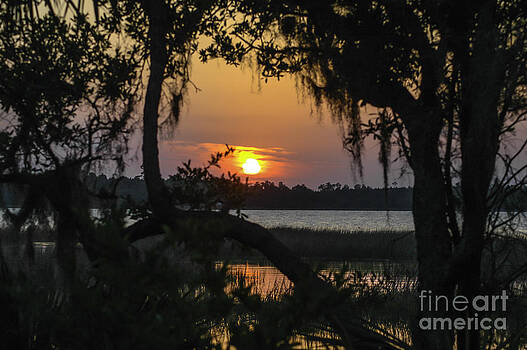 Dale Powell - Lowcountry Spanish Moss Sunset Dale Powell - Lowcountry Spanish Moss Sunset