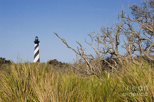 Jill Lang - Cape Hatteras Lighthouse Jill Lang - Cape Hatteras Lighthouse