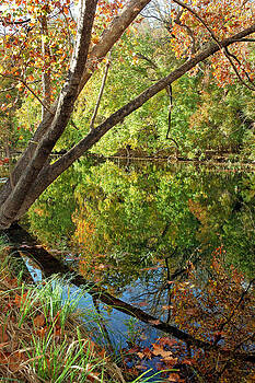 Robert Anschutz - Creekside Reflections Robert Anschutz - Creekside Reflections