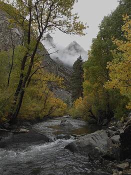 Don Kreuter - Rush Creek Aspen Trees Aerie Crag Don Kreuter - Rush Creek Aspen Trees Aerie Crag
