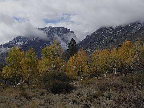 Don Kreuter - Aerie Crag and Aspen Trees Don Kreuter - Aerie Crag and Aspen Trees