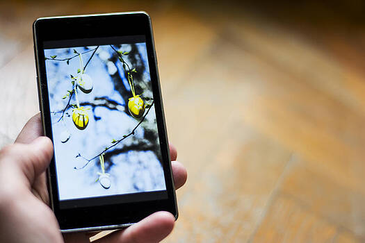 Newnow Photography By Vera Cepic - Easter phone greetings Newnow Photography By Vera Cepic - Easter phone greetings
