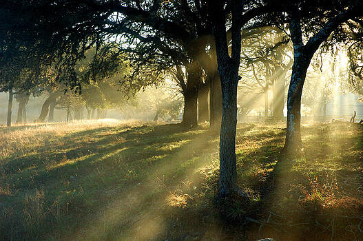 Robert Anschutz - Foggy Sunrise Robert Anschutz - Foggy Sunrise