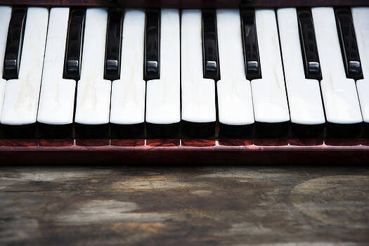 Newnow Photography By Vera Cepic - Keyboard of accordian Newnow Photography By Vera Cepic - Keyboard of accordian