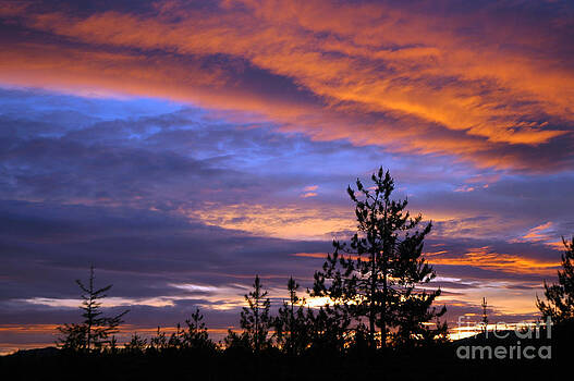 NightVisions - 730P Sunset NightVisions - 730P Sunset