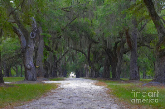 Dale Powell - Allee of Live Oak Tree Dale Powell - Allee of Live Oak Tree