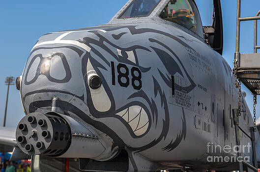 Dale Powell - A-10 Tunderbolt Warthog Dale Powell - A-10 Tunderbolt Warthog