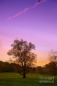 Rima Biswas - A sunset in Spring Rima Biswas - A sunset in Spring