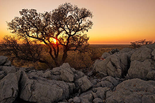 Paul W Sharpe Aka Wizard of Wonders - African Sunset Over the Etosha Plains Paul W Sharpe Aka Wizard of Wonders - African Sunset Over the Etosha Plains