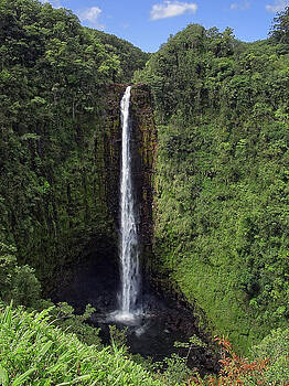 Daniel Hagerman - AKAKA FALLS - BIG ISLAND HAWAII Daniel Hagerman - AKAKA FALLS - BIG ISLAND HAWAII