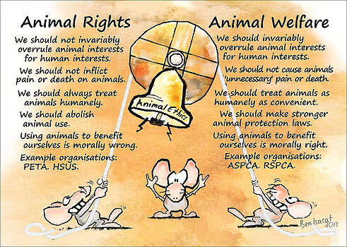 animals should have rights essay A new york court is considering whether chimps are legal persons - and whether animals should be granted the same rights as humans. animals should have rights essay A new york court is considering whether chimps are legal persons - and whether animals should be granted the same rights as humans.