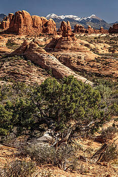 Wes and Dotty Weber - Arches Spires Wes and Dotty Weber - Arches Spires