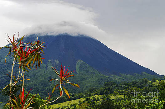 Bob Phillips - Arenal Volcano and Tropical Color Bob Phillips - Arenal Volcano and Tropical Color