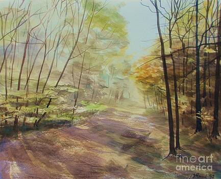 Martin Howard - Ashridge Woods Martin Howard - Ashridge Woods