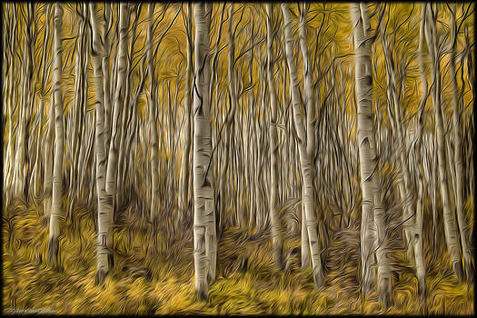 Erika Fawcett - Aspen In Oils Erika Fawcett - Aspen In Oils