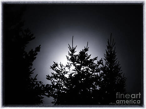 Gena Weiser - August 2014 Super Moon Gena Weiser - August 2014 Super Moon
