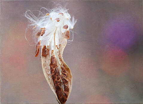 Fraida Gutovich - Autumn Arrival 2 Fraida Gutovich - Autumn Arrival 2