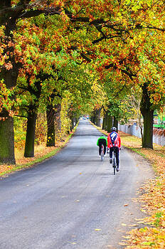 Gynt - Autumn bicyclists Gynt - Autumn bicyclists