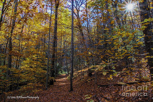 Barbara Bowen - Autumn colors on Blood Mountain Barbara Bowen - Autumn colors on Blood Mountain