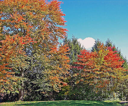 Gena Weiser - Ohio Autumn in Full Color Gena Weiser - Ohio Autumn in Full Color