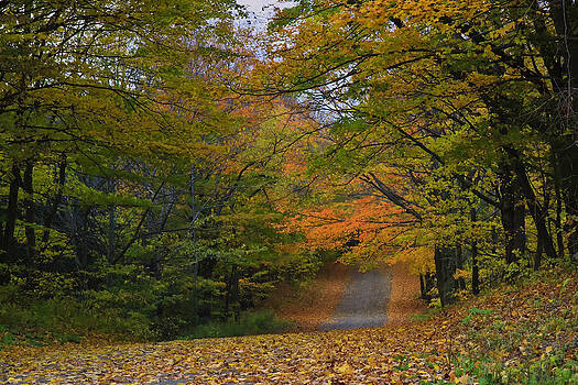 Gary Hall - Autumn In The Caledon Hills Gary Hall - Autumn In The Caledon Hills