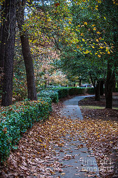 Dale Powell - Autumn Side Walk Dale Powell - Autumn Side Walk