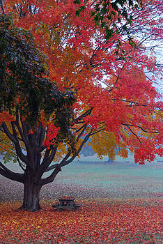 Lisa Phillips - Autumn Splendor Lisa Phillips - Autumn Splendor