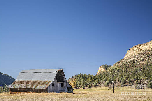 Tim Mulina - Barn and Mesa Tim Mulina - Barn and Mesa