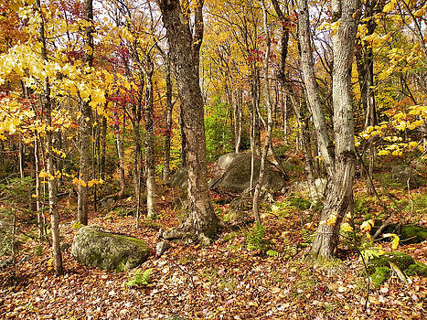 Gene Cyr - Baxter State Park 10 Gene Cyr - Baxter State Park 10