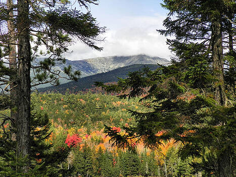 Gene Cyr - Baxter State Park 13 Gene Cyr - Baxter State Park 13
