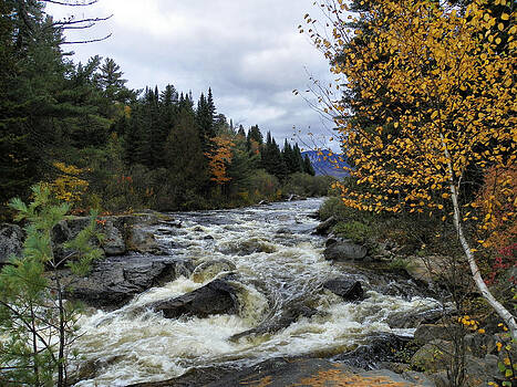 Gene Cyr - Baxter State Park 18 Gene Cyr - Baxter State Park 18