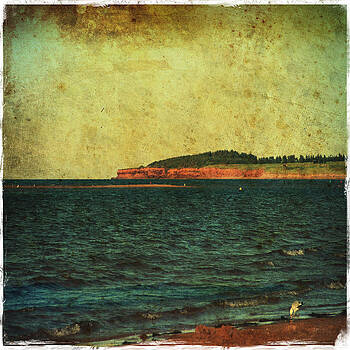 Laura Carter - Beach Seascape Ocean Photograph Fine Art Print Laura Carter - Beach Seascape Ocean Photograph Fine Art Print