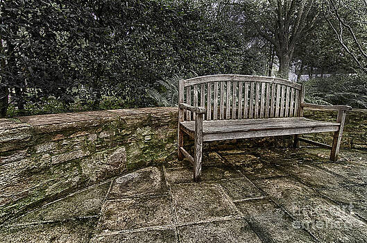 Danny Hooks - Bench in the Garden Danny Hooks - Bench in the Garden