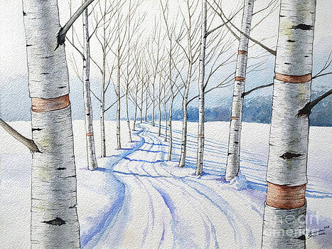 Christopher Shellhammer - Birch Trees Along the Curvy Road Christopher Shellhammer - Birch Trees Along the Curvy Road