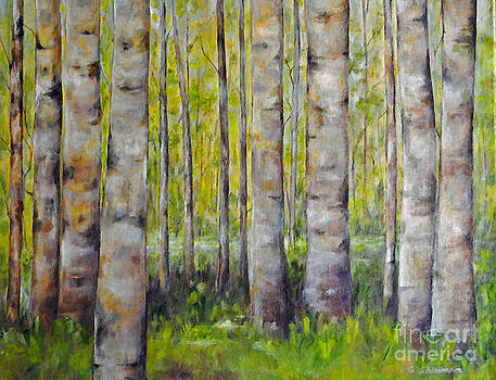 Carolyn Shireman - Birch Trees Carolyn Shireman - Birch Trees
