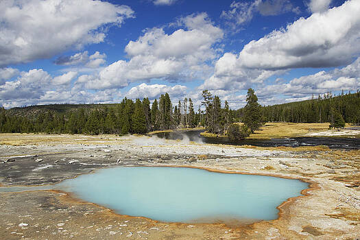 Bill Coster - Black Opal Spring In Biscuit Basin Bill Coster - Black Opal Spring In Biscuit Basin