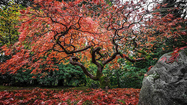Wes and Dotty Weber - Blanket Of Leaves Wes and Dotty Weber - Blanket Of Leaves