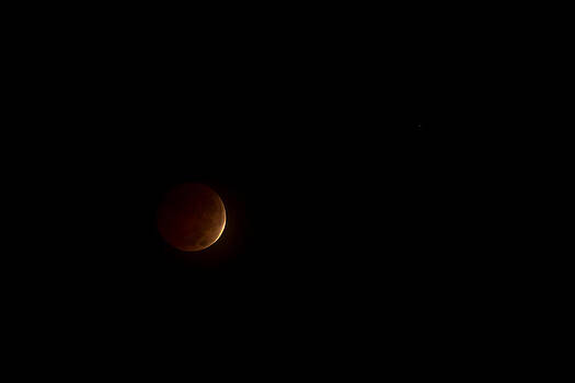 Paul Rebmann - Blood Moon Paul Rebmann - Blood Moon