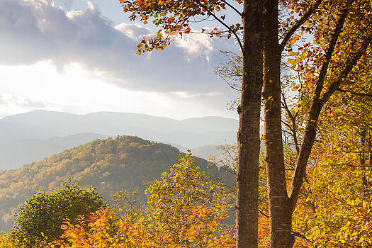 Paul Rebmann - Blue Ridge Autumn Trees Paul Rebmann - Blue Ridge Autumn Trees