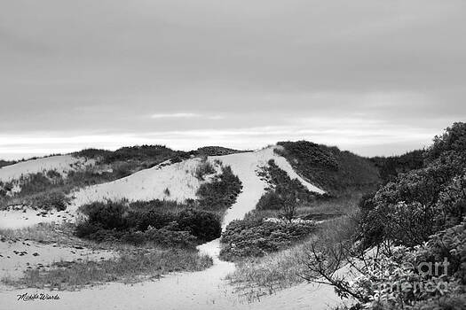 Michelle Constantine - Bound Brook Island Dunes Cape Cod Michelle Constantine - Bound Brook Island Dunes Cape Cod