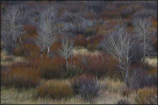 Erika Fawcett - Brush in Oils Erika Fawcett - Brush in Oils