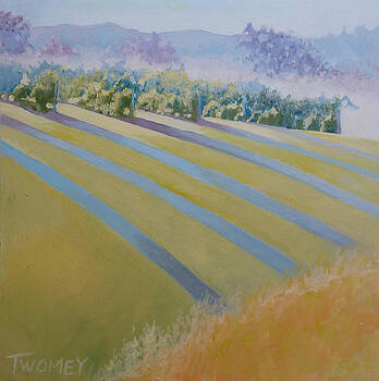 Catherine Twomey - Buck Mountain Vineyards No.2 Catherine Twomey - Buck Mountain Vineyards No.2