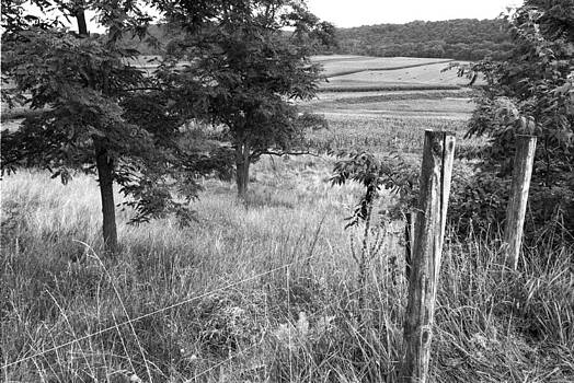 Harold E McCray - Buckeystown Harold E McCray - Buckeystown