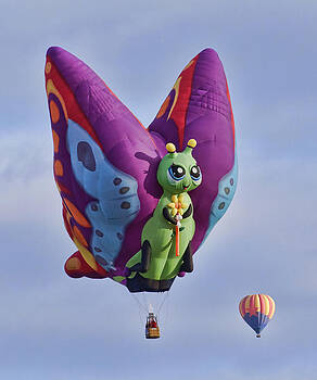 Wes and Dotty Weber - Butterfly Wes and Dotty Weber - Butterfly