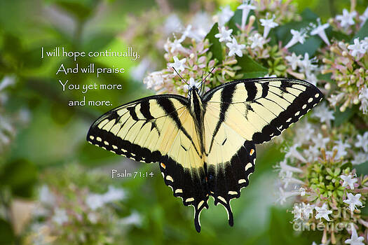 Jill Lang - Butterfly with Scripture Jill Lang - Butterfly with Scripture