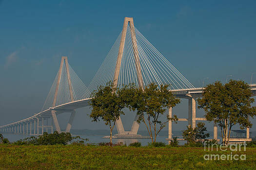 Dale Powell - Cable Stayed Bridge Dale Powell - Cable Stayed Bridge