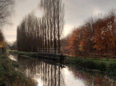 Stephen Barrie - Canal in Autumn Stephen Barrie - Canal in Autumn